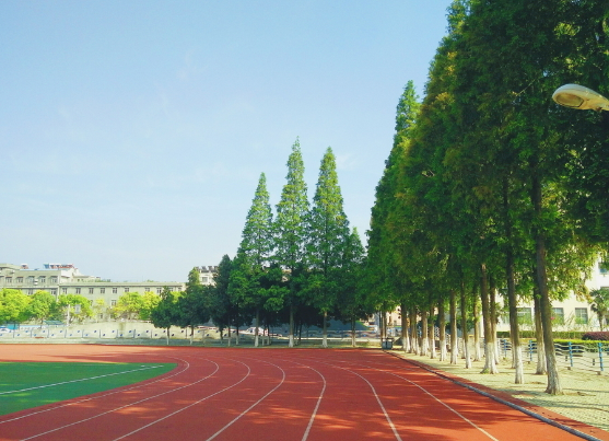 校園精神文化建設(shè)之活動(dòng)！