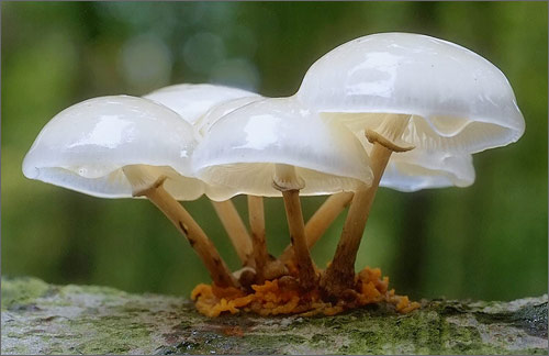 設(shè)計傳遞信息的要求以及客戶對設(shè)計的期待！