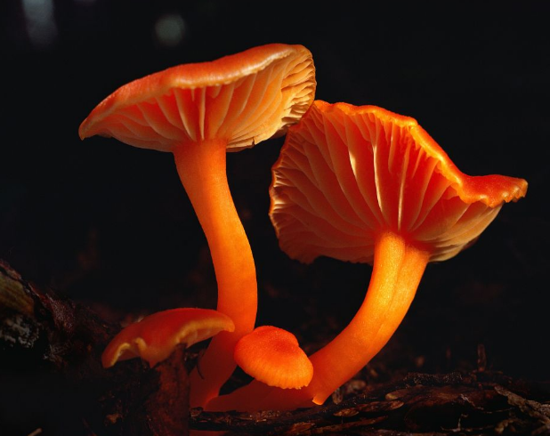 設(shè)計(jì)的靈感體現(xiàn)、色彩很重要！