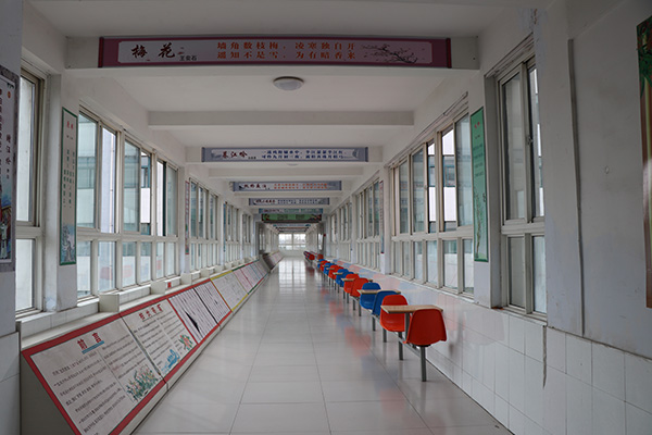 書香校園建設(shè)的實(shí)踐與體會(huì)