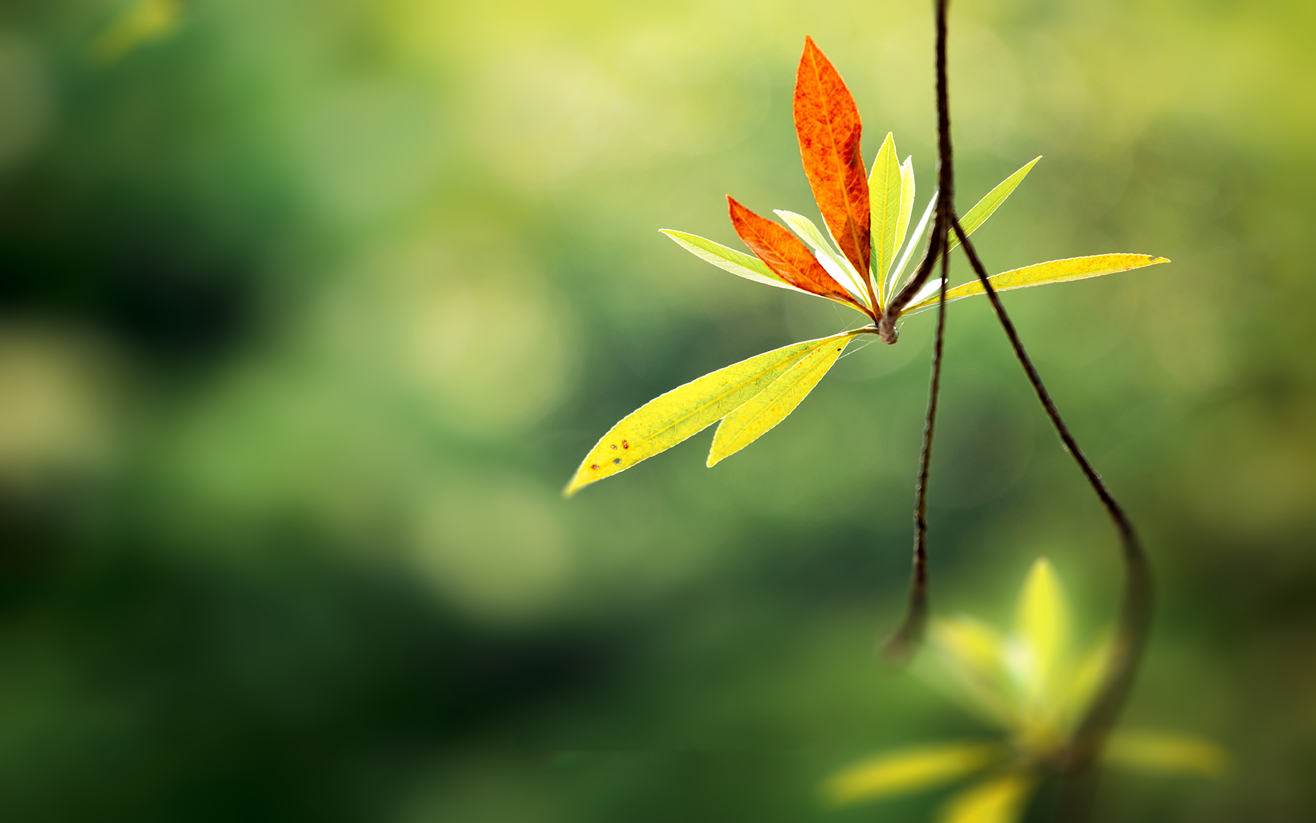欣賞超凡的設(shè)計(jì)——認(rèn)識(shí)設(shè)計(jì)者